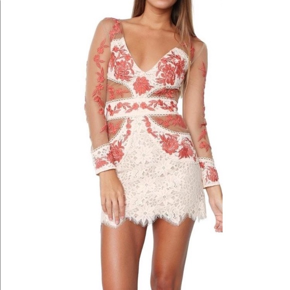 For love and lemons matador tulle dress - Picture 2 of 4